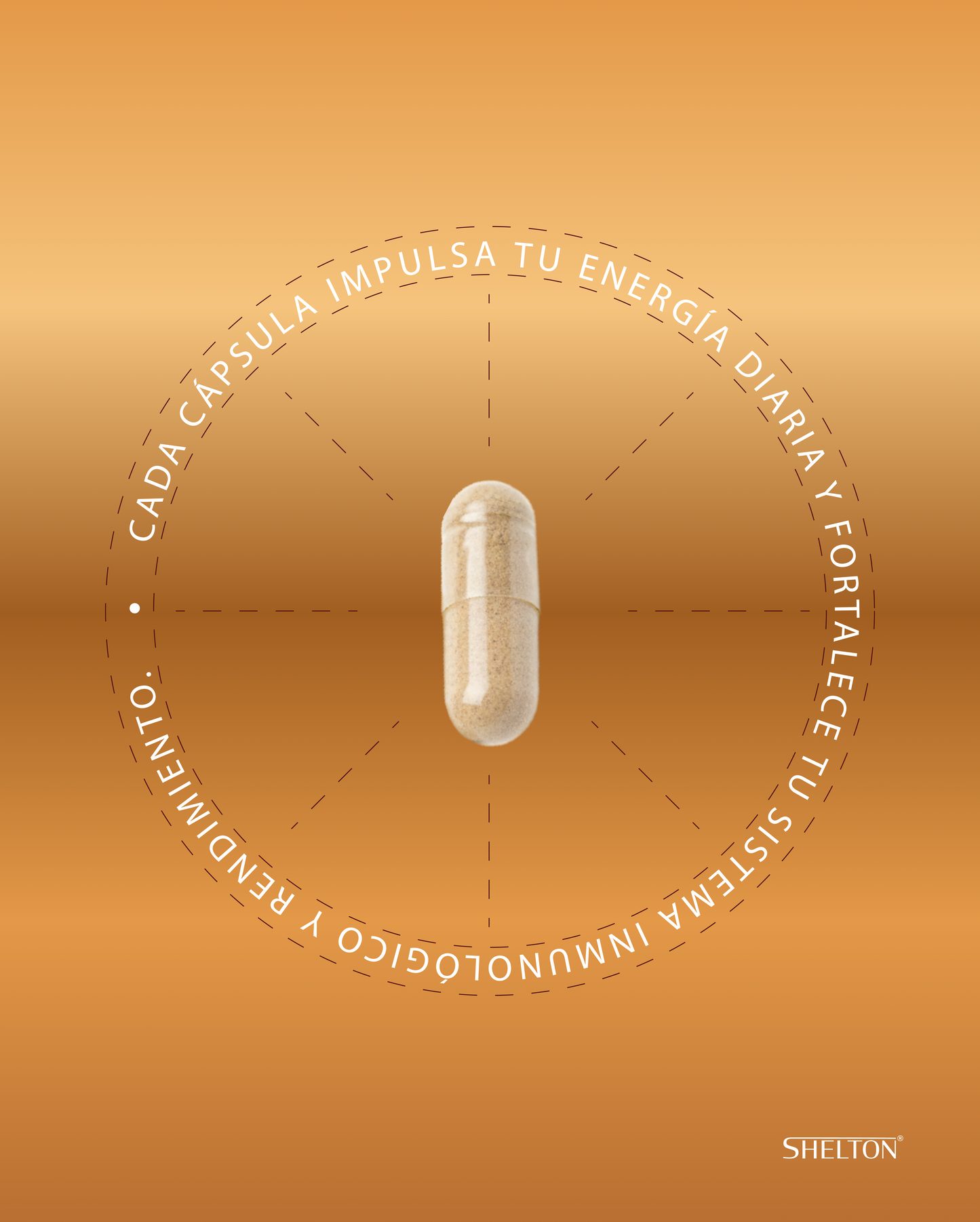 Shelton Black Maca Formula Plus 1,500 mg (90 CAPSULAS)